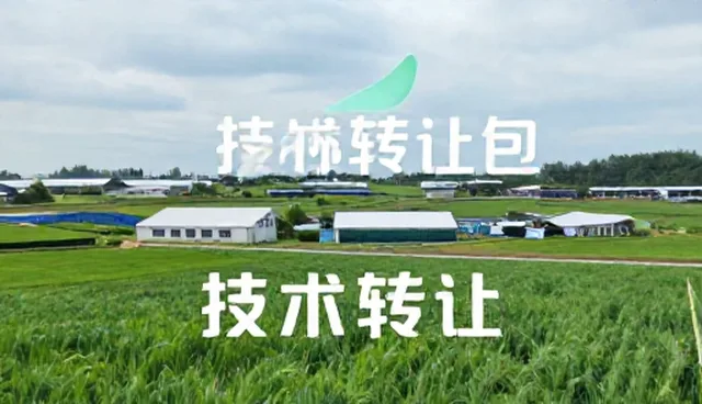 效率提升中的资源对接检查要点分析
