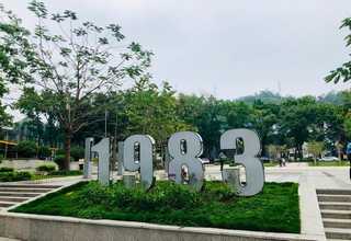 特种金属拉丝油厂家直销