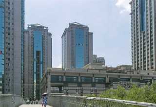 闵行区口碑好的城市绿化服务费用