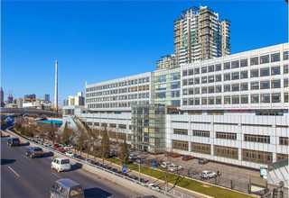 辽宁早茶有几种