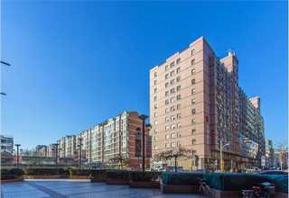 广州秘鲁无籽青提哪里有卖