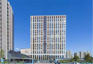 大涌带孩子月嫂推介